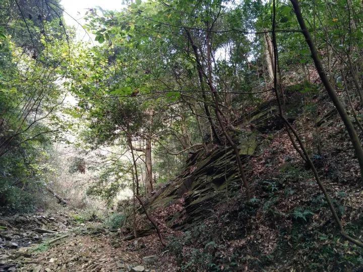 女星江疏影雪球产品爆仓?申万宏源回应:网传截图是假的