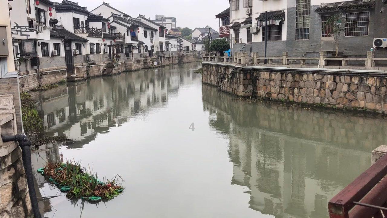 你们知道这是什么动物吗游戏画面